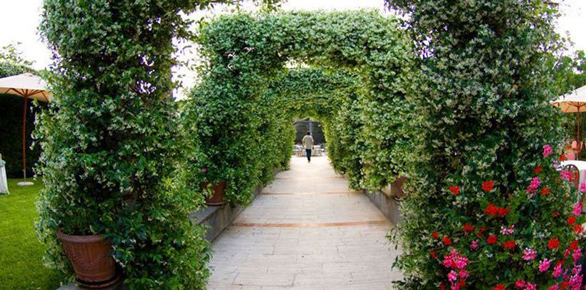 בית מלון כפרי Pamaran