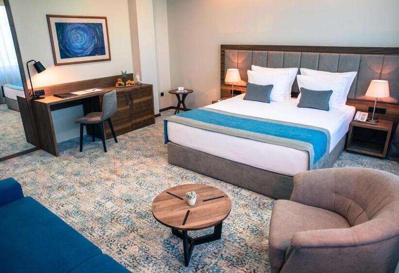 Fotos del hotel Radon Plaza:  6