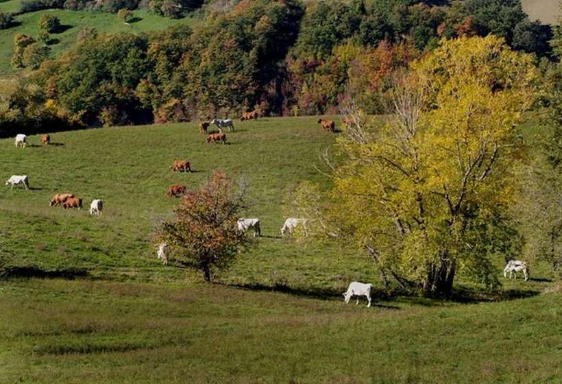 호텔 Agriturismo Monastero Di San Biagio