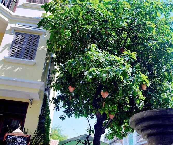 Fotos del hotel Thuy Duong 3:  48