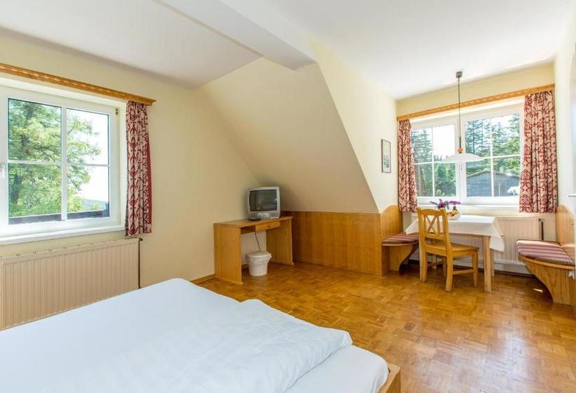 Alpenhotel Enzian