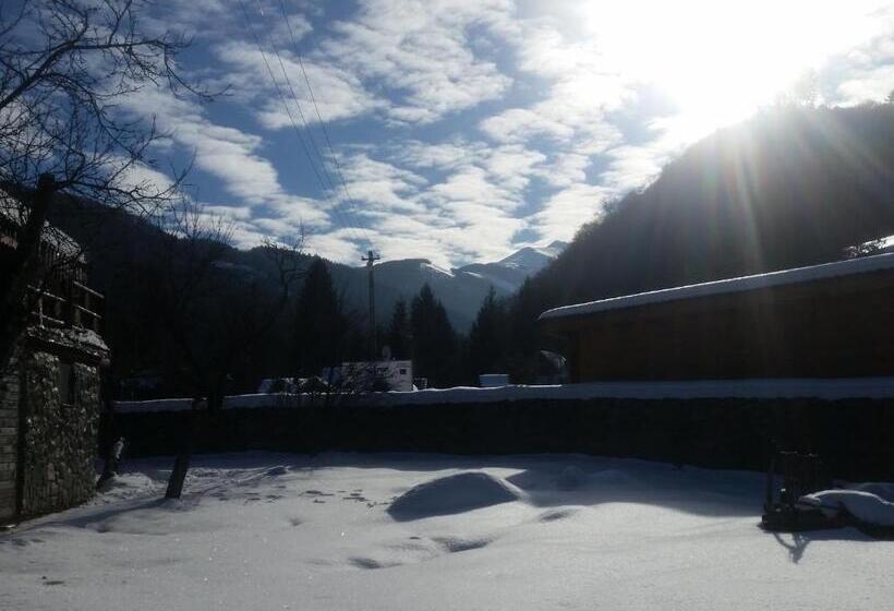 בית מלון כפרי Casa Bunicului