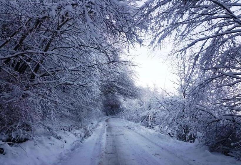 בית מלון כפרי Casa Bunicului