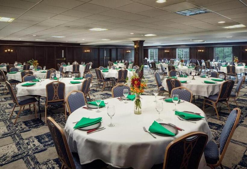 هتل Irish Cottage Inn & Suites