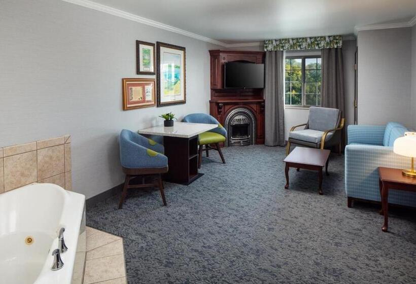 هتل Irish Cottage Inn & Suites
