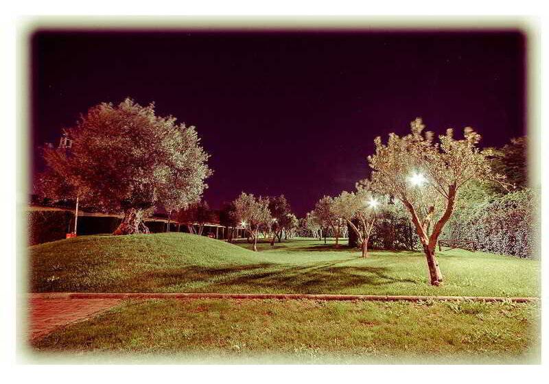 Fotos del hotel All Ways Garden  & Leisure:  6