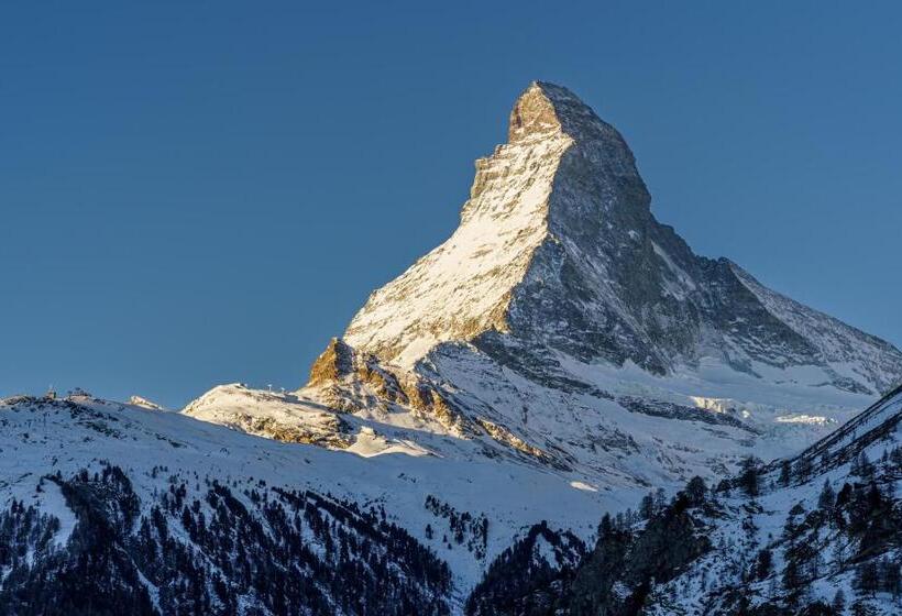 هتل Alpenroyal