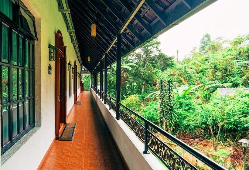 فندق Casa De La Rosa
