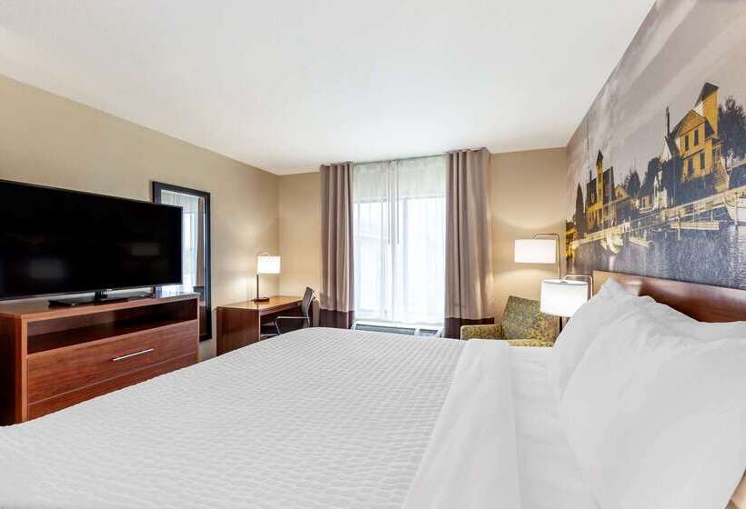 酒店 Clarion Pointe Racine  Mount Pleasant