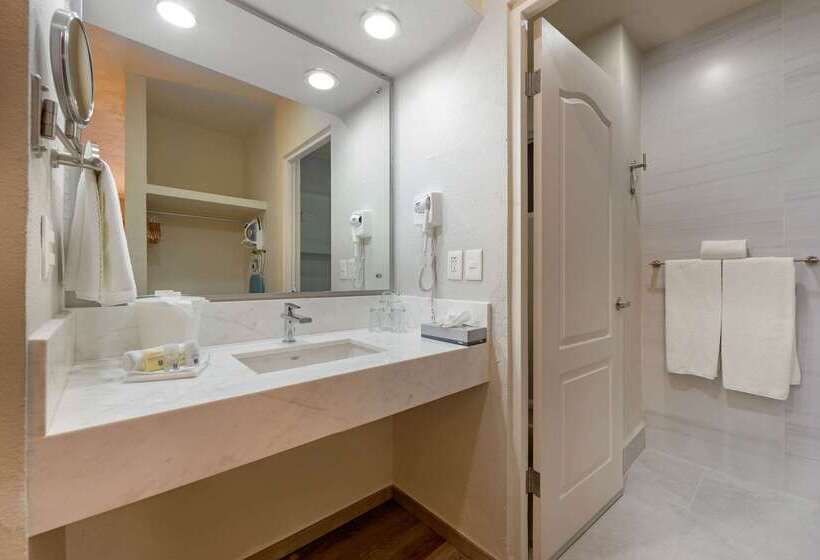 Fotos del hotel Comfort Inn Monterrey Valle:  29