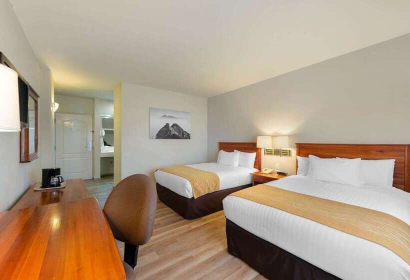 Hotel Comfort Inn Monterrey Valle