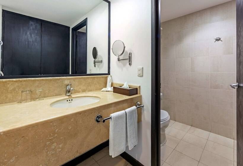 Fotos del hotel Comfort Inn Morelia:  61