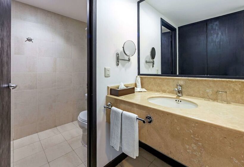 Fotos del hotel Comfort Inn Morelia:  63