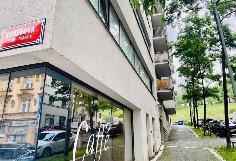 Fotos del hotel Ehrlich:  6