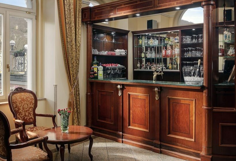 Fotos del hotel Humboldt Park Hotel & Spa:  10