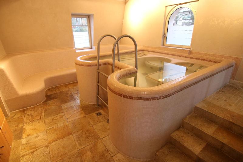 Fotos del hotel Humboldt Park Hotel & Spa:  54