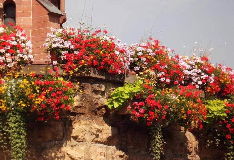 هتل James Vignoble Hôtel, Eguisheim