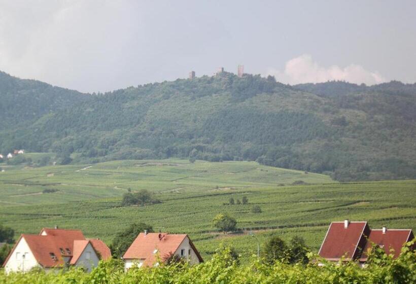 هتل James Vignoble Hôtel, Eguisheim