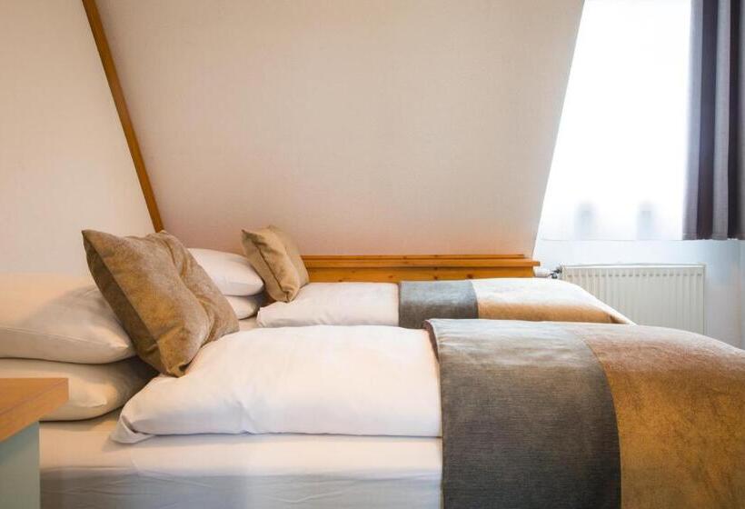 هتل James Vignoble Hôtel, Eguisheim