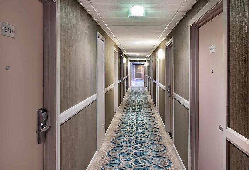 Fotos del hotel Jurys Inn Brighton:  24