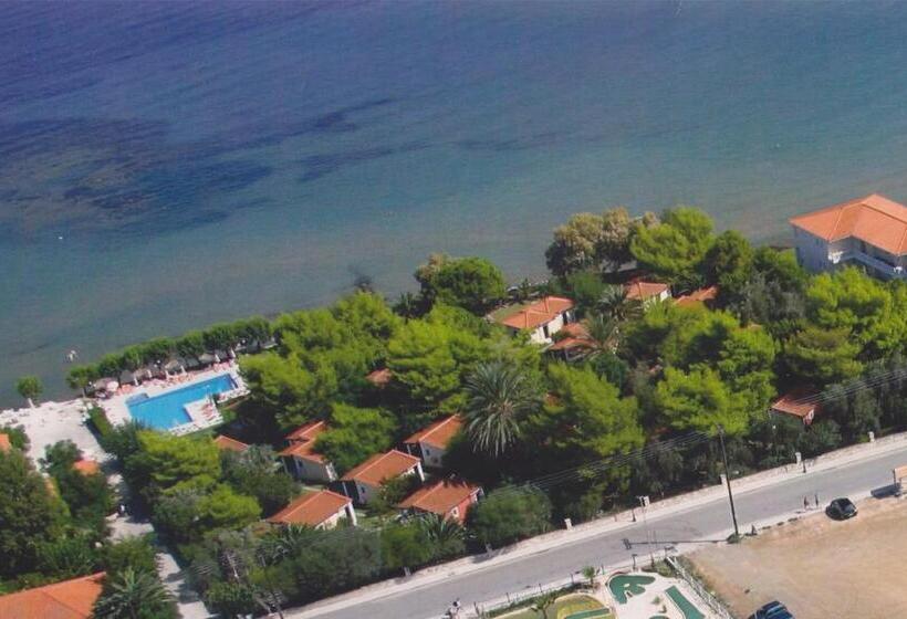 هتل Mimoza Beach