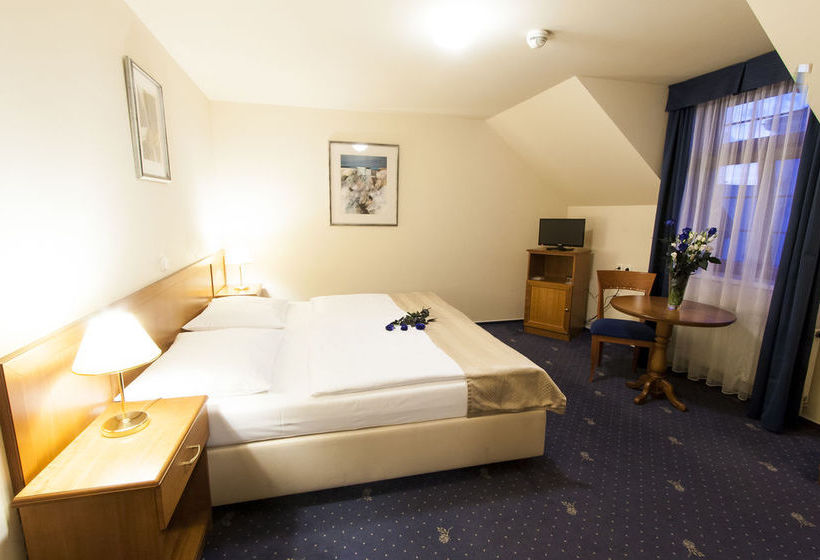 Fotos del hotel Hotel Modra Ruze:  6