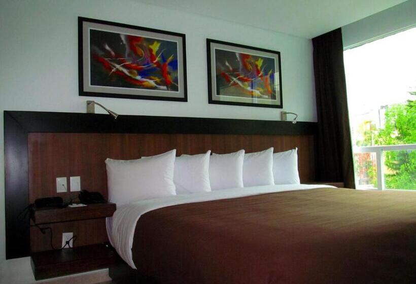 Fotos del hotel & Suites Pf:  15
