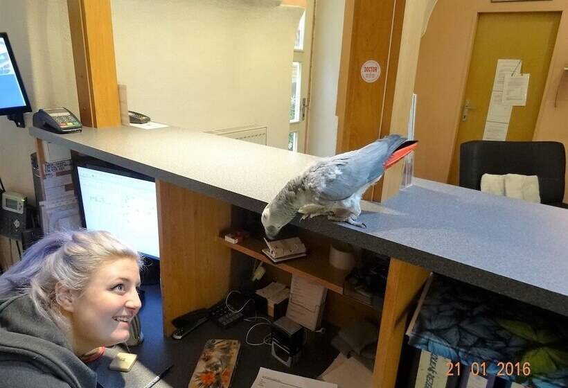 Fotos del hotel U Dvou Zlatych Klicu:  19