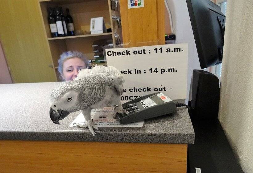 Fotos del hotel U Dvou Zlatych Klicu:  6