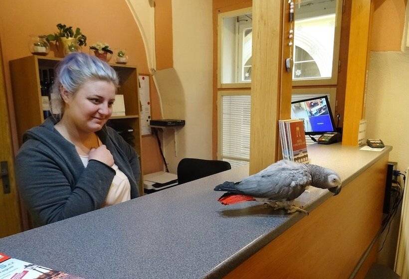 Fotos del hotel U Dvou Zlatych Klicu:  8