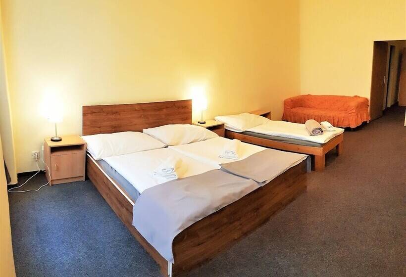 Fotos del hotel U Dvou Zlatych Klicu:  3