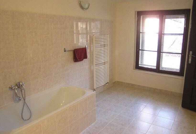 Fotos del hotel U Dvou Zlatych Klicu:  15