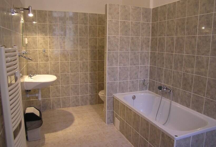 Fotos del hotel U Dvou Zlatych Klicu:  16