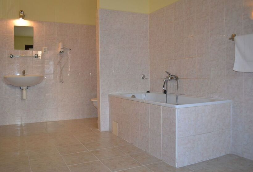 Fotos del hotel U Dvou Zlatych Klicu:  28