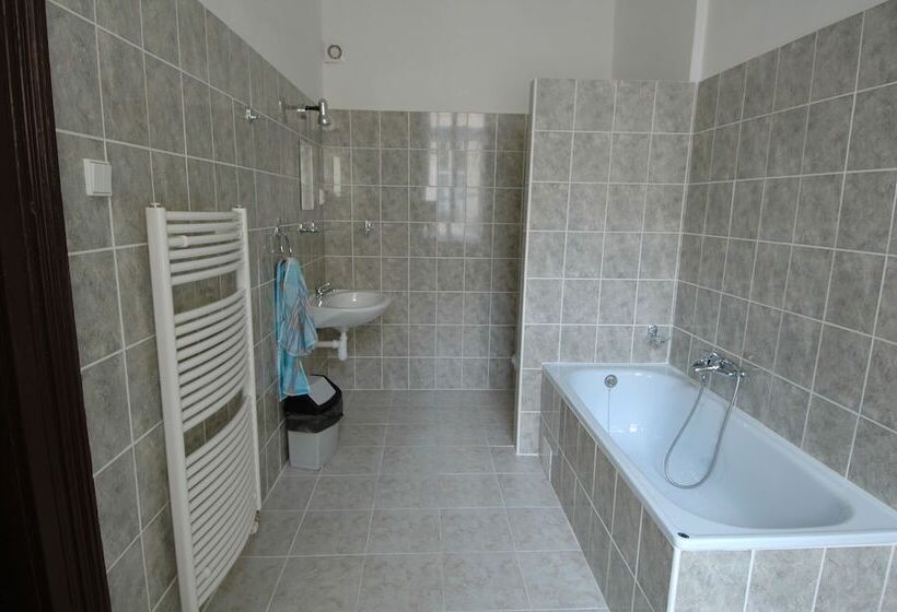 Fotos del hotel U Dvou Zlatych Klicu:  17