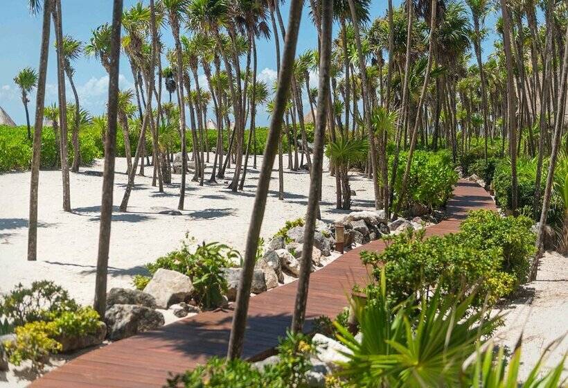 Fotos del hotel Valentin Imperial Riviera Maya All Inclusive - Adults Only:  168