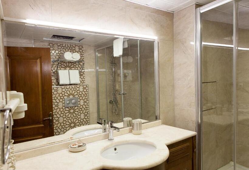 Fotos del hotel A'la Sofia Hotel Istanbul:  40