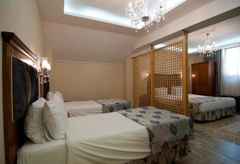 Fotos del hotel A'la Sofia Hotel Istanbul:  44