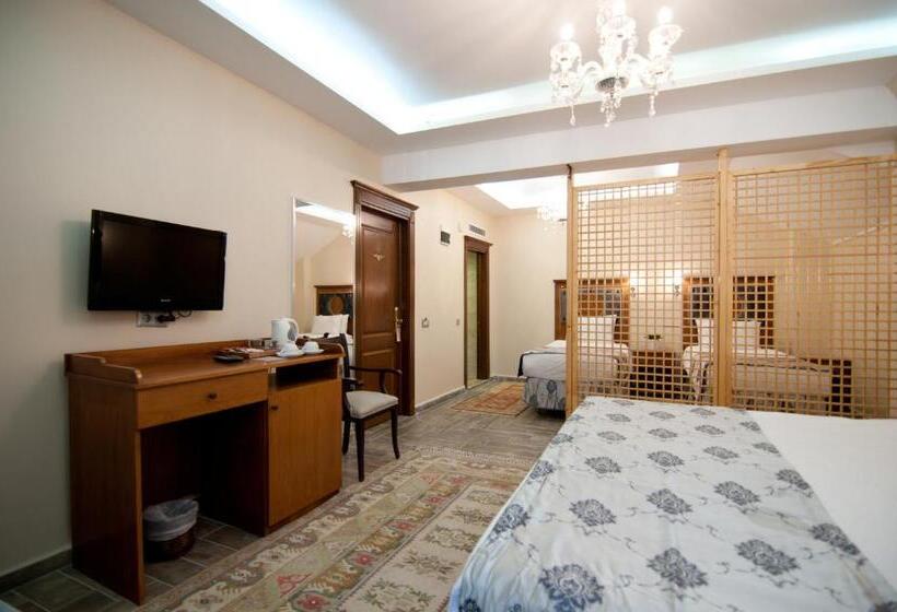 Fotos del hotel A'la Sofia Hotel Istanbul:  18