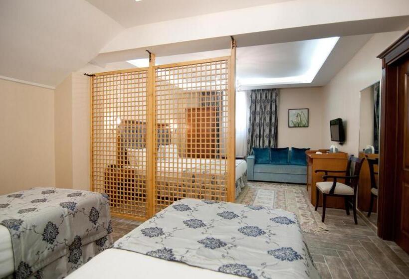 Fotos del hotel A'la Sofia Hotel Istanbul:  5