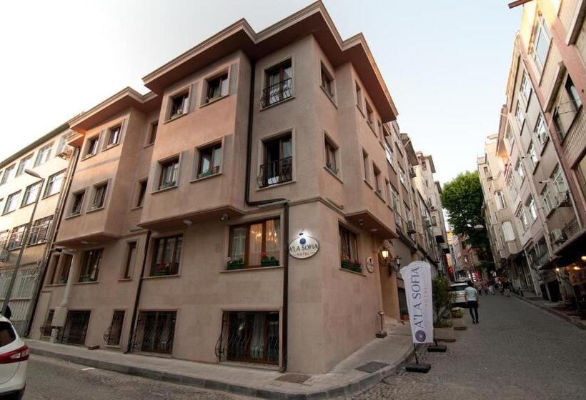 Fotos del hotel A'la Sofia Hotel Istanbul:  50
