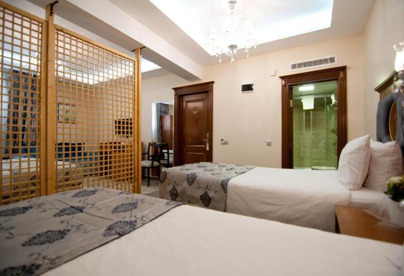 Fotos del hotel A'la Sofia Hotel Istanbul:  17