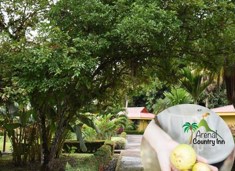 בית מלון כפרי Arenal Country Inn