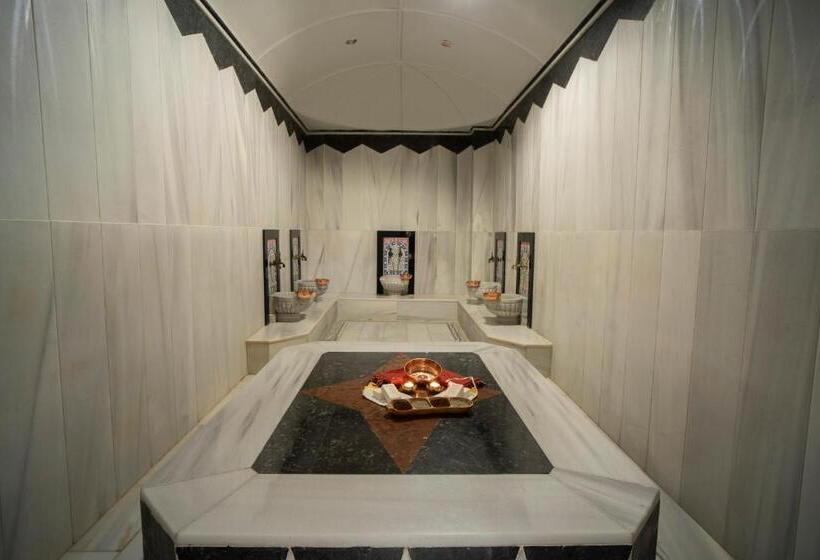 Fotos del hotel Grand Oztanik  Taksim & Spa:  14