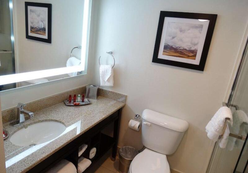 Отель Best Western Premier Denver East