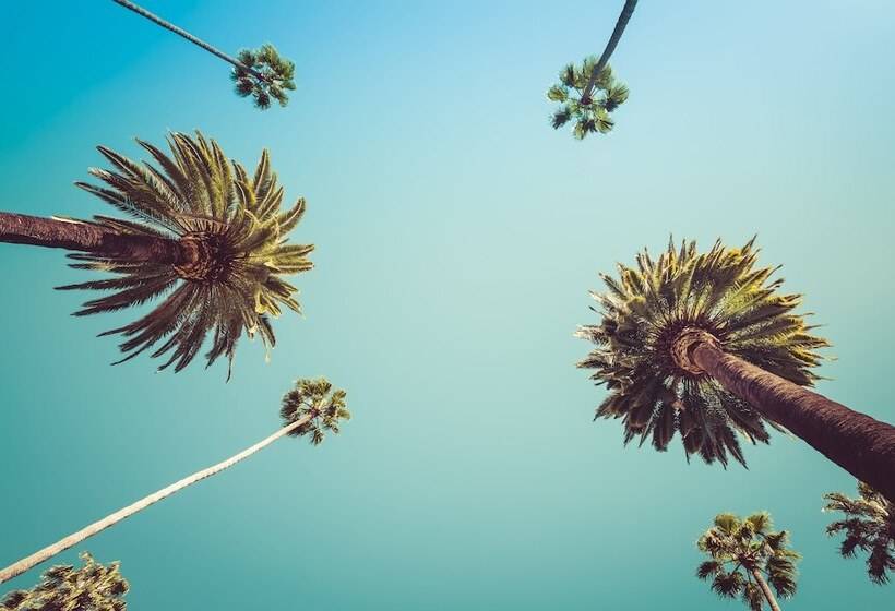 هتل Delos Reyes Palm Springs