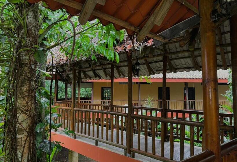 هتل El Bambu