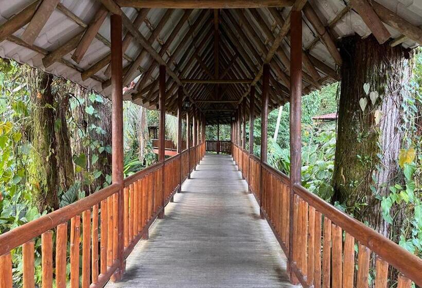 هتل El Bambu