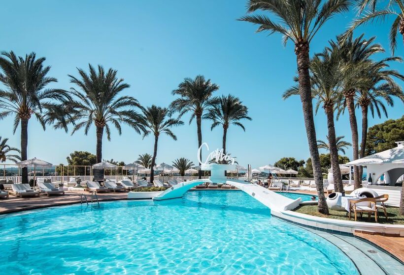 Fotos del hotel Hilton Mallorca Galatzo:  51