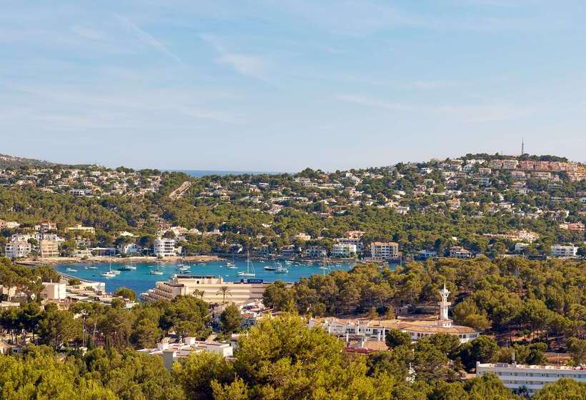 Fotos del hotel Hilton Mallorca Galatzo:  66